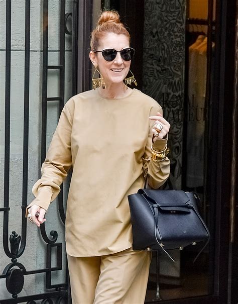 does celine dion own celine bags|Celine handbags online outlet.